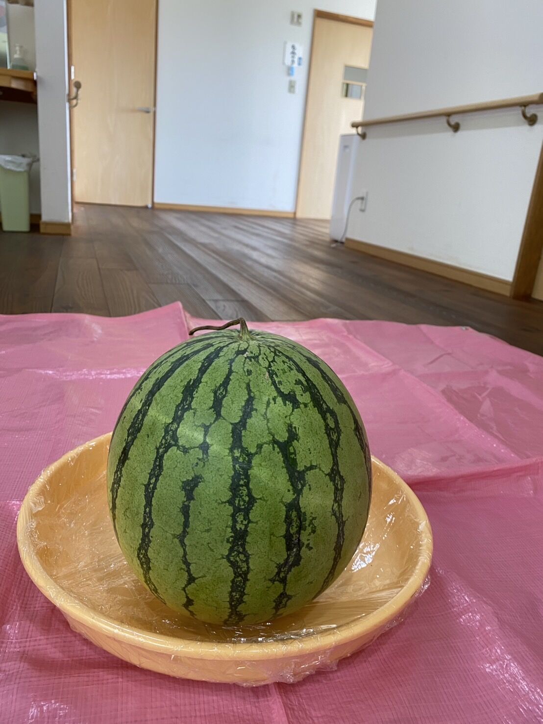 🍉夏の恒例イベント！ショートステイでスイカ割りを行いました！